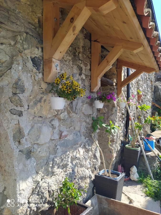 Massia Gasset Bed & Breakfast Senterada ภายนอก รูปภาพ