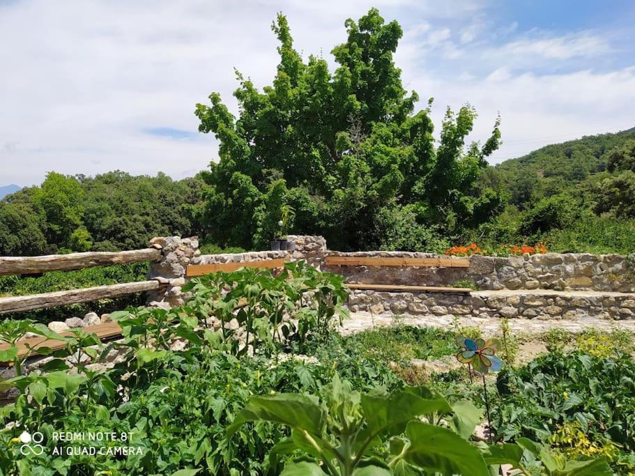 Massia Gasset Bed & Breakfast Senterada ภายนอก รูปภาพ