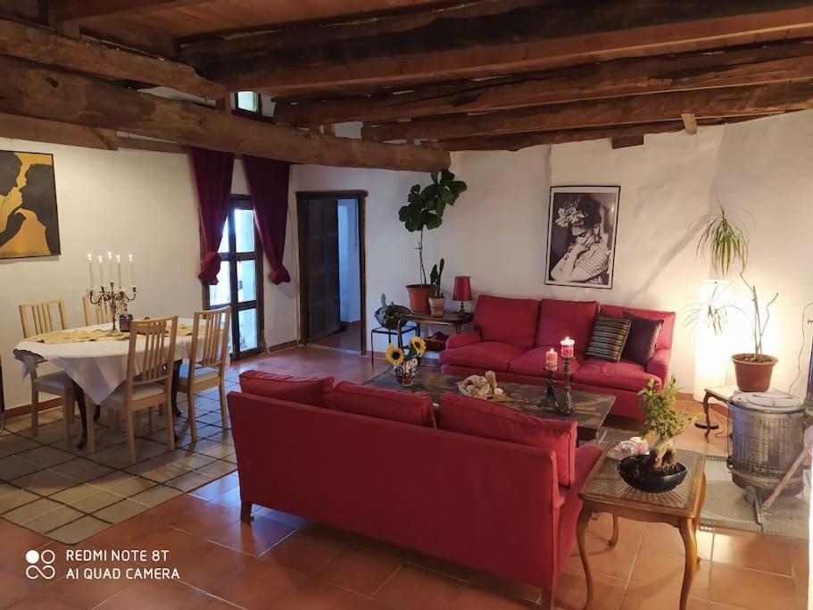 Massia Gasset Bed & Breakfast Senterada ภายนอก รูปภาพ